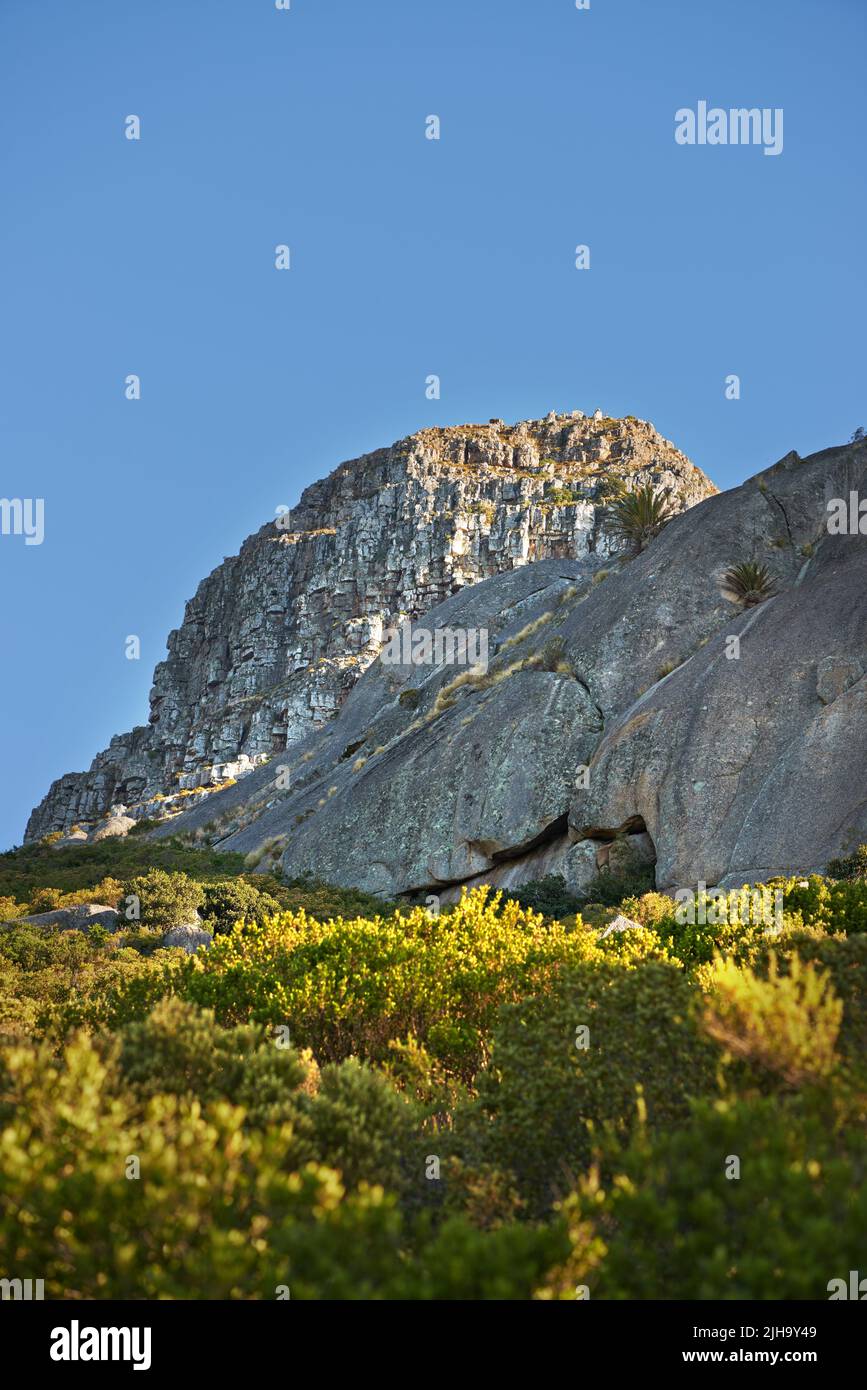 Copyspace mit landschaftlich reizvoller Aussicht auf den Lions Head Berg in Kapstadt, Südafrika, vor einem klaren blauen Himmel von unten. Großartig Stockfoto