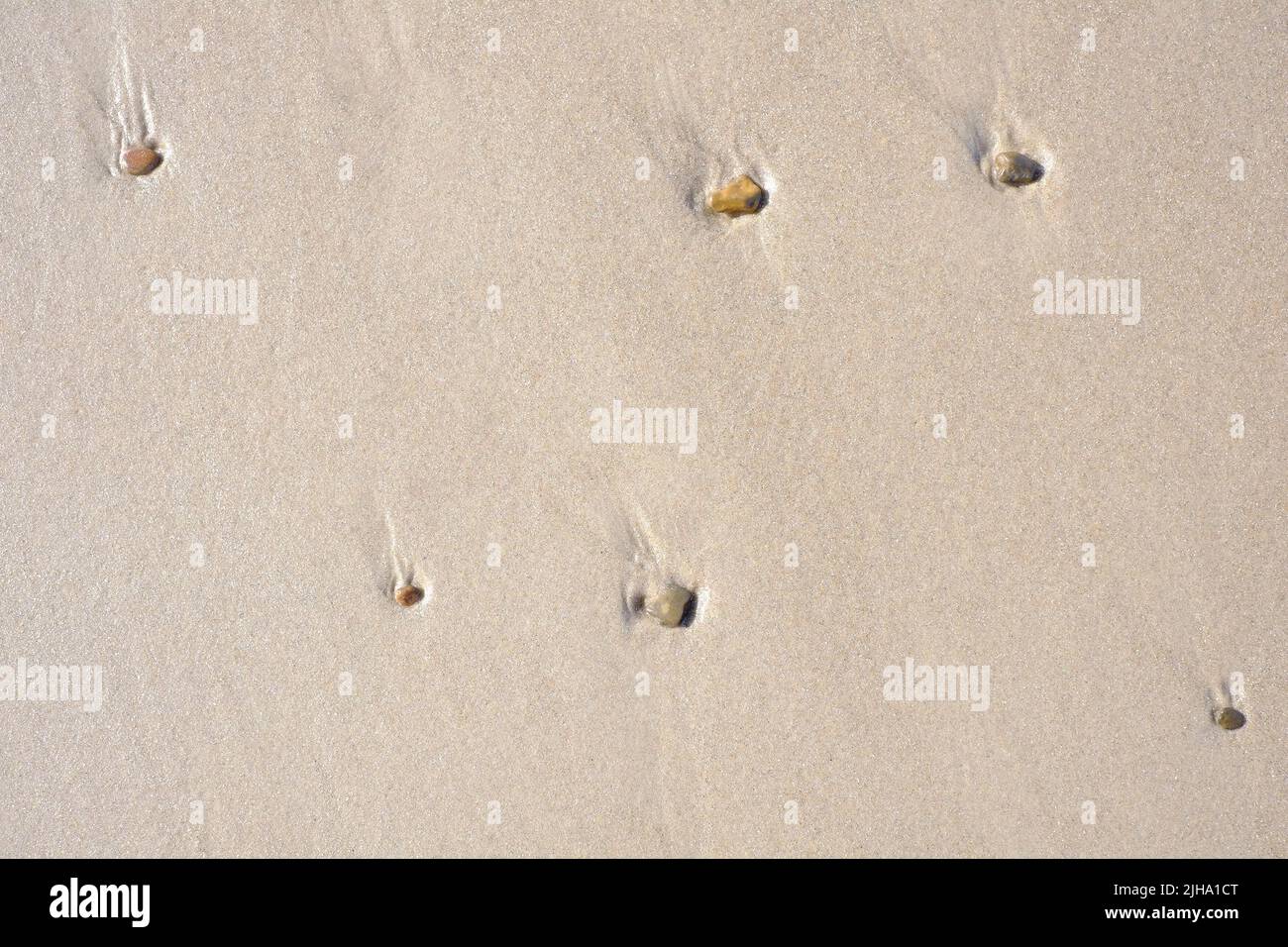 Kies und Muscheln stecken von oben in einem nassen Sandstrand. Schöne Muscheln, die in einer Sand-Stein-Mischung an der Küste untergebracht. Strukturierte und Stockfoto