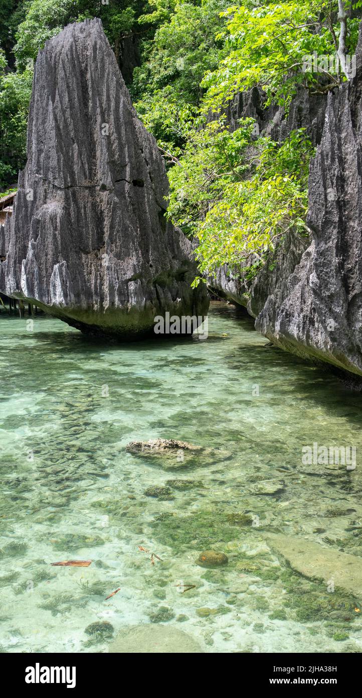 Unberührtes Strandwasser in Palawan, einer Inselprovinz der Philippinen, die sich in der Region Mimaropa befindet. Stockfoto