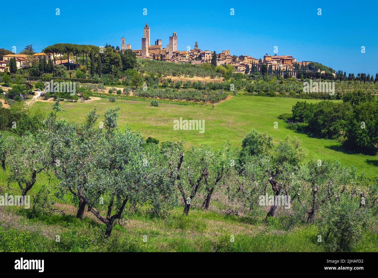 Berühmte San Gimignano mit fantastischen Türmen auf dem Hügel. Tolles Stadtbild mit Olivenplantagen in der Toskana, San Gimignano, Italien, Europa Stockfoto