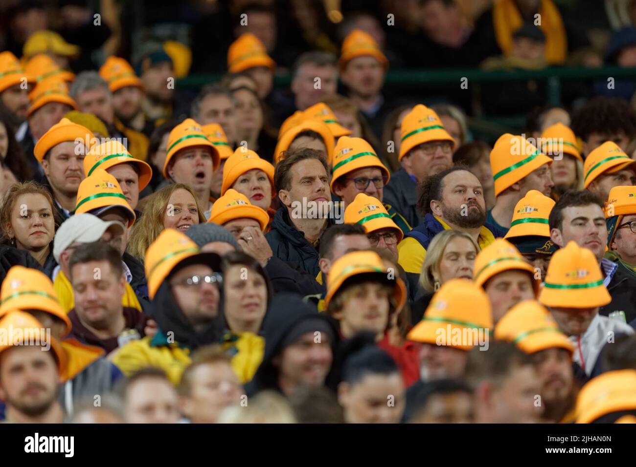 SYDNEY, AUSTRALIEN - 16. JULI: Wallabies-Fans sehen sich während des dritten Spiels der Internationalen Test-Match-Serie zwischen den australischen Wallabies und England beim SCG am 16. Juli 2022 in Sydney, Australien an.Quelle: IOIO IMAGES/Alamy Live News Stockfoto