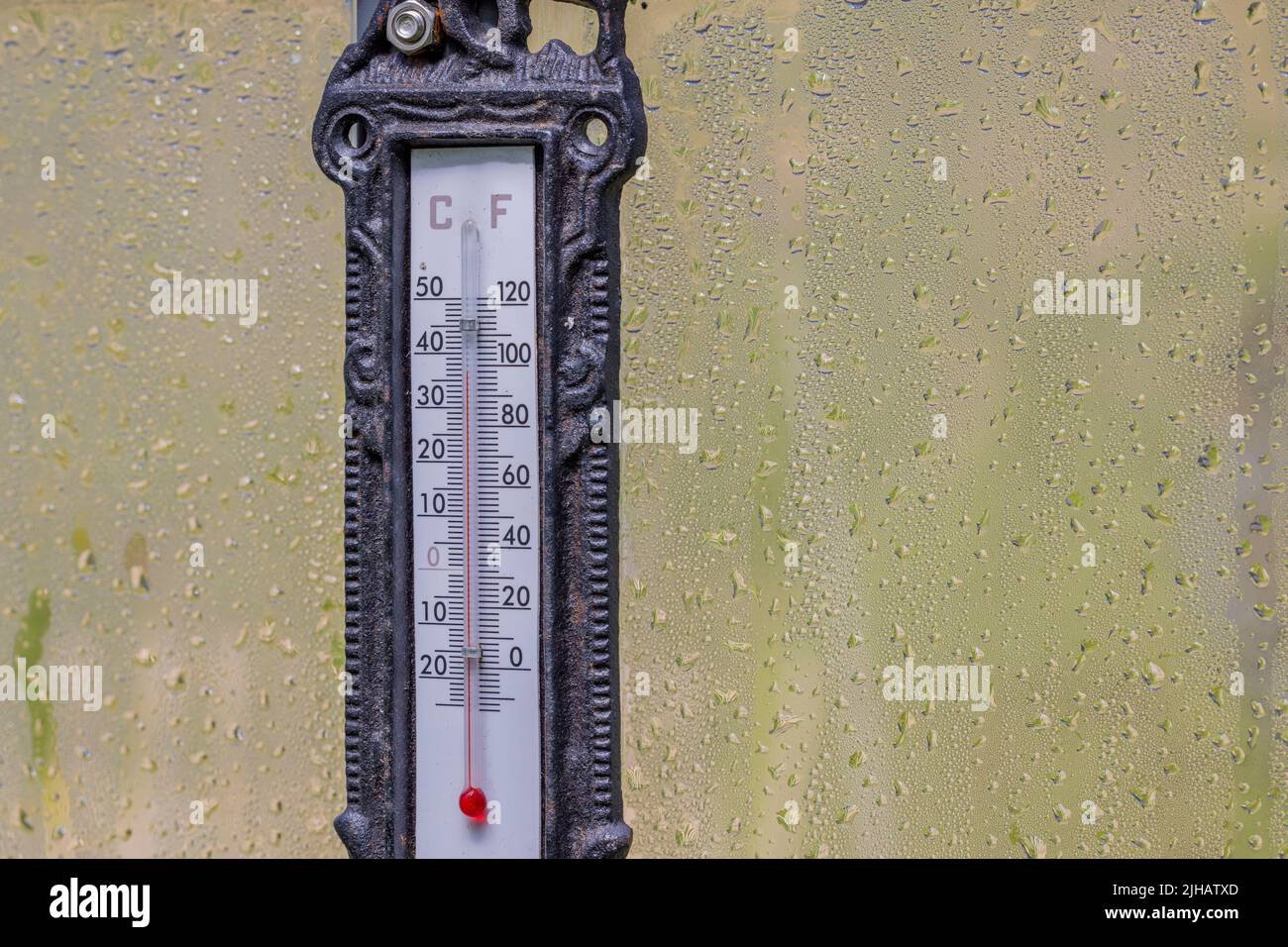 Nahaufnahme eines Thermometers, das die Lufttemperatur im Gewächshaus zeigt, mit Kondensatabfällen auf den Fenstern am Sommertag. Schweden. Stockfoto
