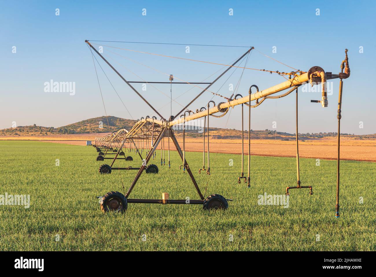 Zentrales Schwenk-Bewässerungssystem, Bewässerungsrohre mit Sprinklern auf Rädern, die sich auf einer zentralen Achse drehen. Stockfoto