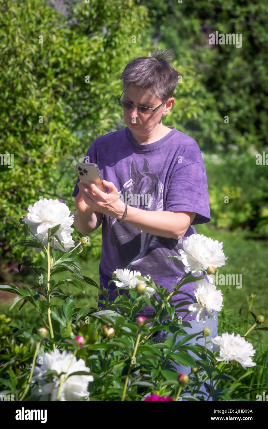 Frau, die in einem Garten Fotos von weißen Pfingstrosen macht. Stockfoto