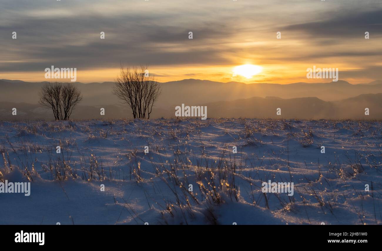 Schöne Aussicht auf zwei blattlose Bäume in schneebedeckten Feld am kalten Wintermorgen. Die Sonnenstrahlen durch die Wolken erleuchten die Lichtung Stockfoto