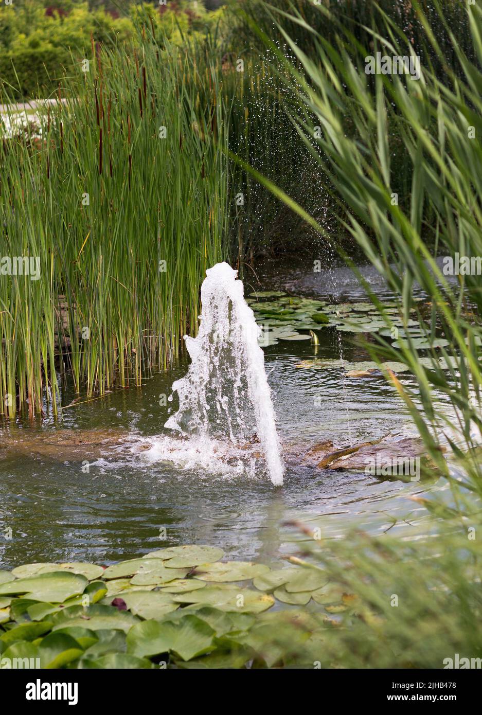 Schöner formeller Garten mit Brunnen und Pflanzen Stockfoto