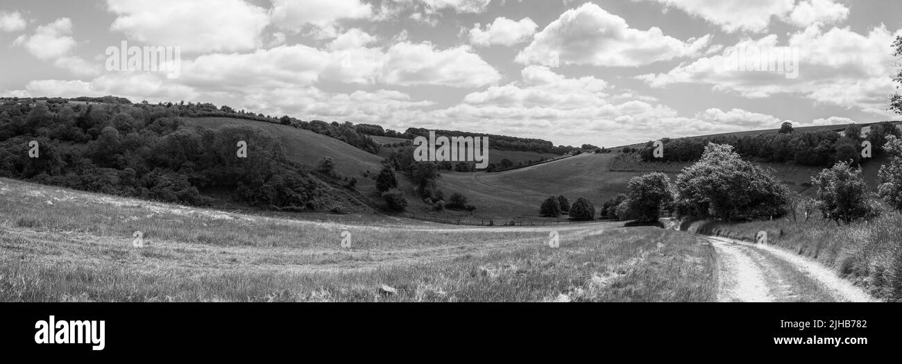 Cranborne Chase Valley B&W Stockfoto
