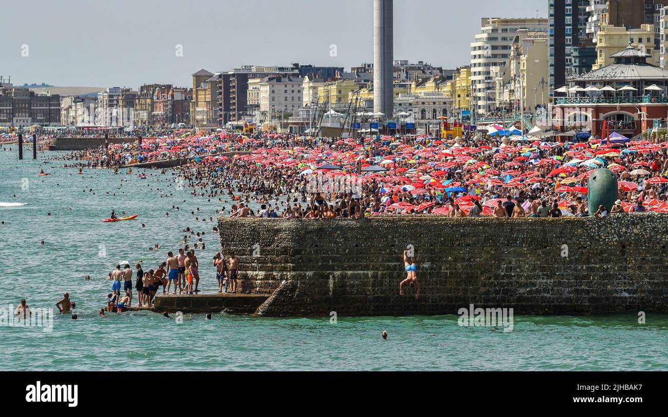 Brighton UK 17. July 2022 - Jugendliche springen von einem Groyne am Brighton Beach ins Meer, während die Massen die heiße Sonne genießen, da für die nächsten zwei Tage im ganzen Land eine extreme rote Wetterwarnung ausgegeben wurde : Credit Simon Dack / Alamy Live News Stockfoto