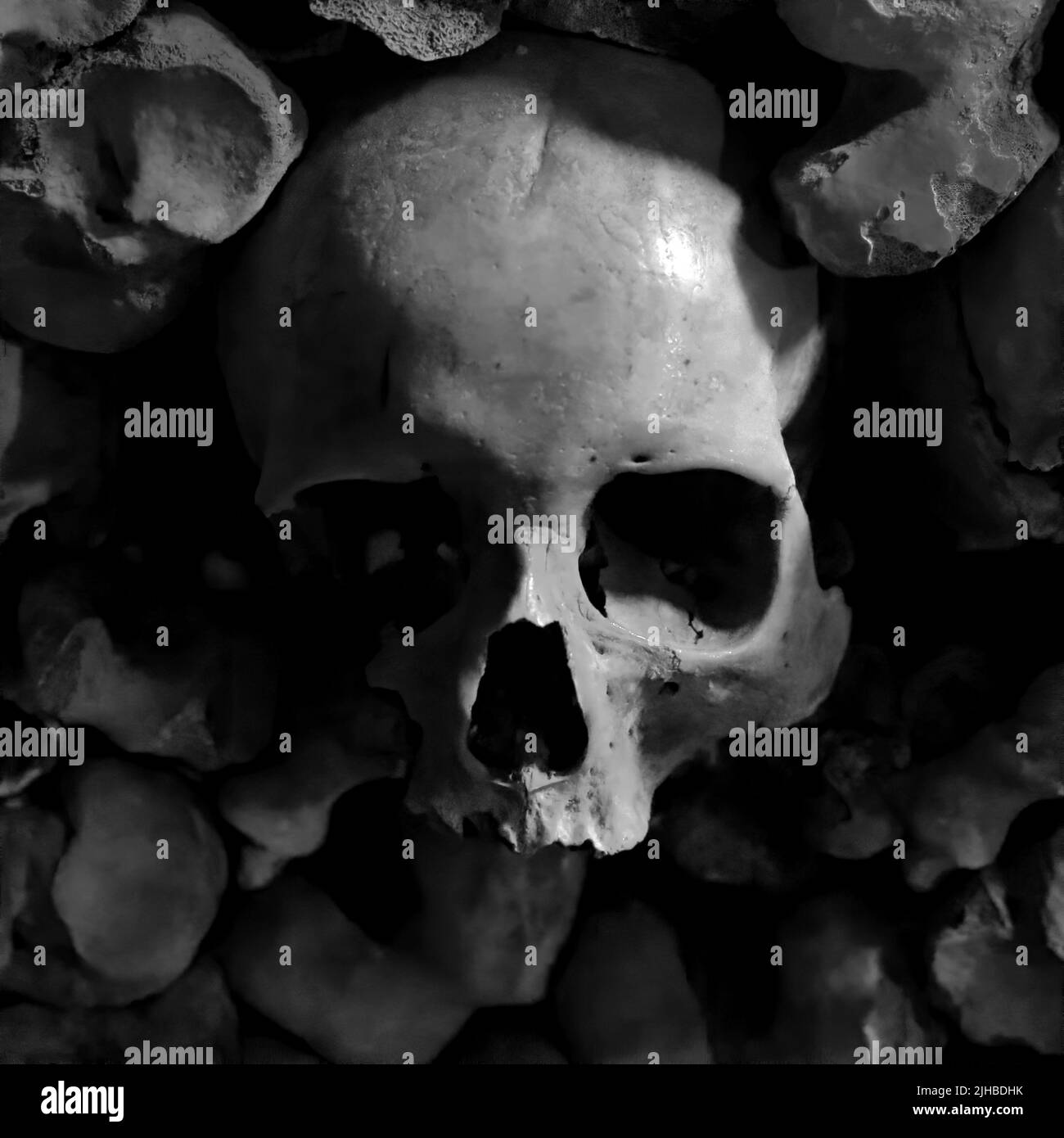 Menschliche Schädel und Knochen in Krypto, Begriff des Todes Stockfoto