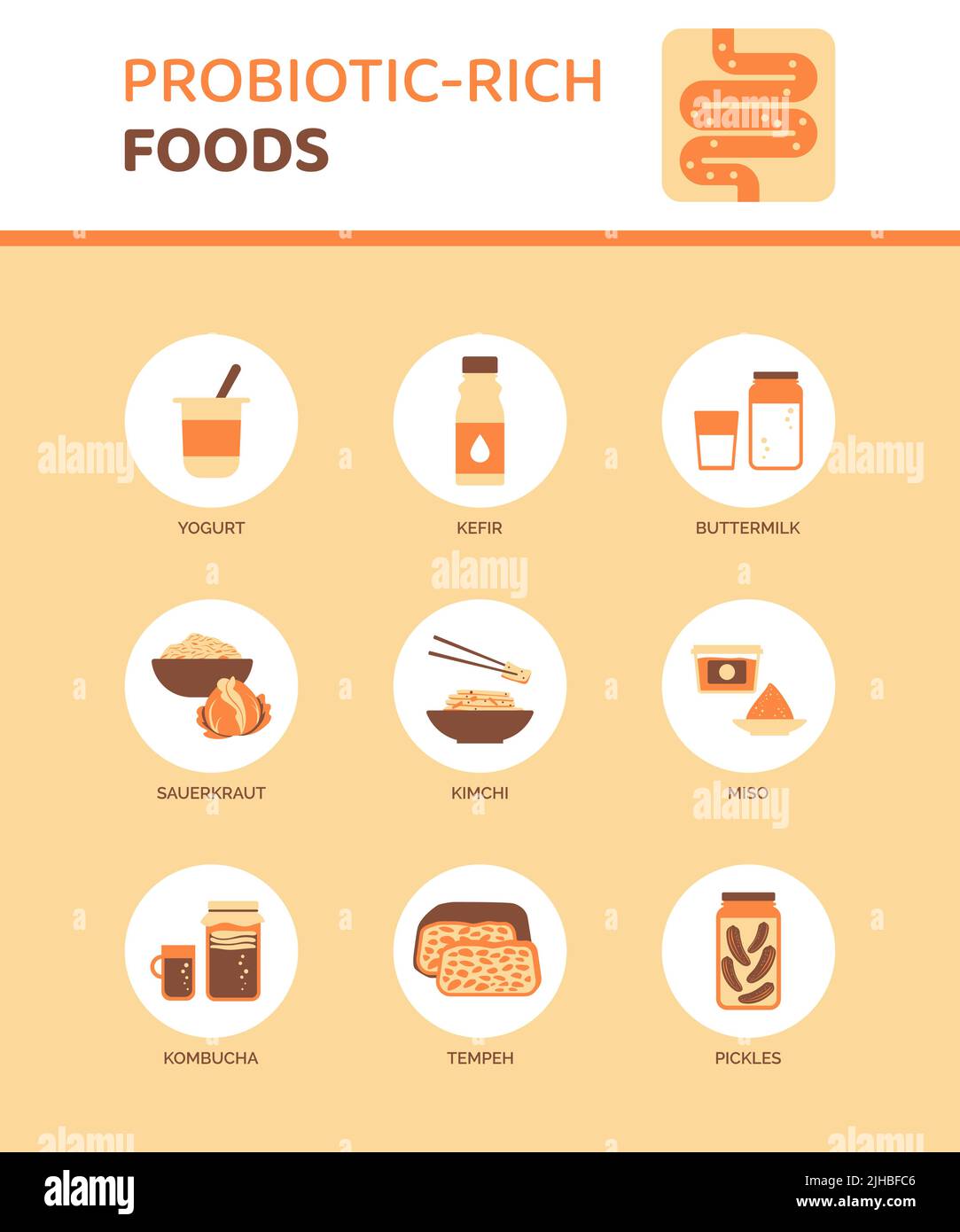 Probiotisch-reiches Essen für eine bessere Verdauung, Infografik mit Symbolen Stock Vektor
