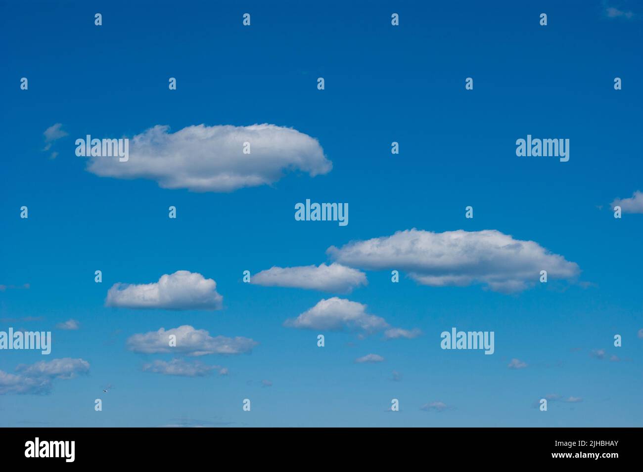 Das horizontale Foto zeigt einen blauen Himmel mit weißen, flauschigen Wolken. Hintergrund, Bildschirmschoner. Sommer. Bewölkt. Sonnenschein Stockfoto