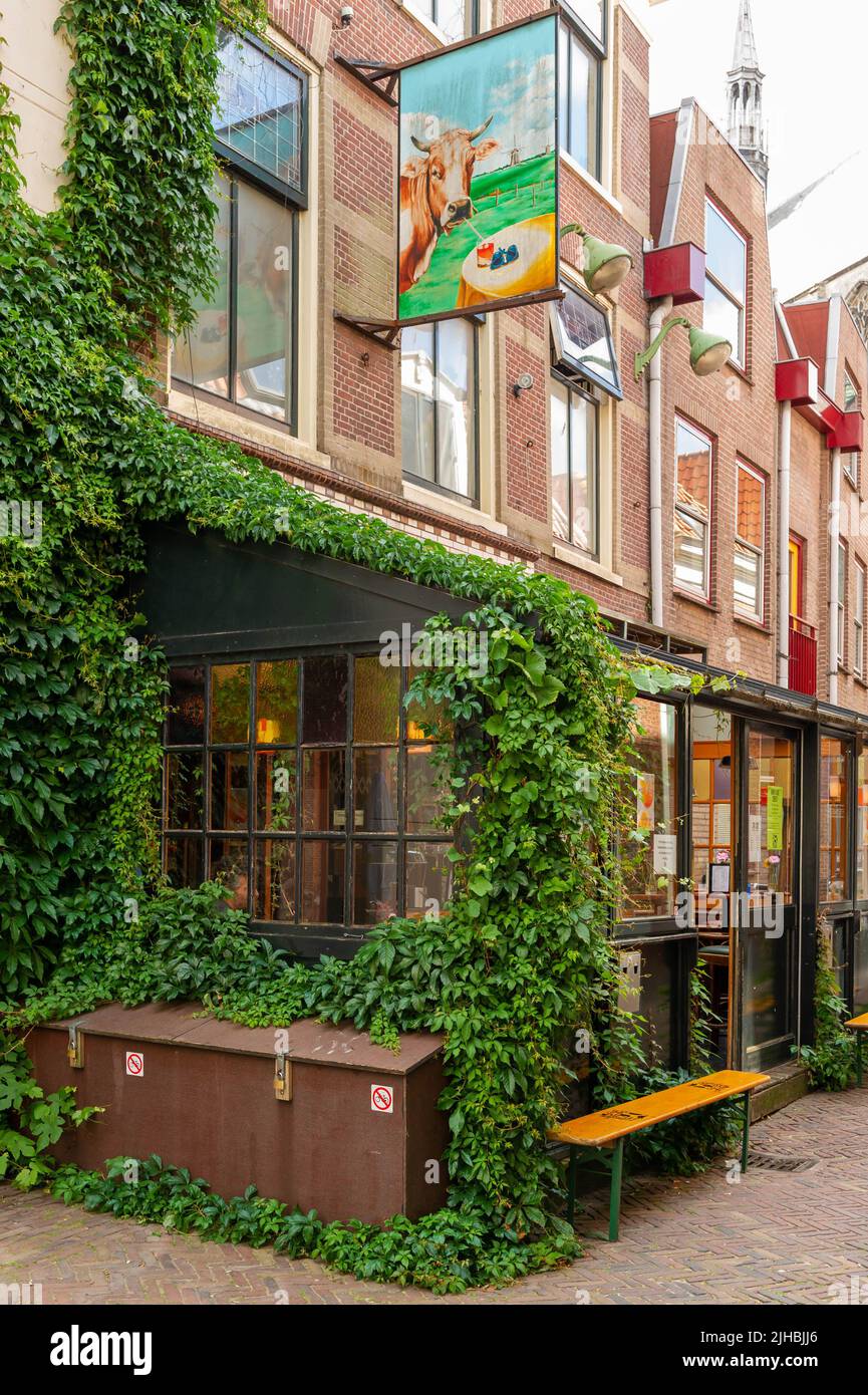 The Bonte Koe, eine niederländische Brown Bar in Leiden, Niederlande Stockfoto