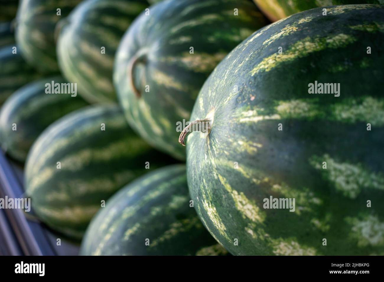 Nahaufnahme von Wassermelonen auf einem Marktstand Stockfoto