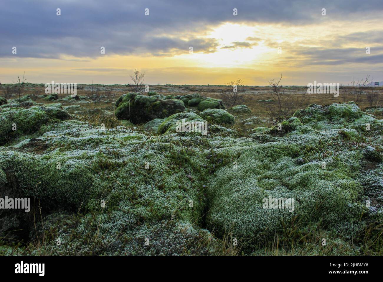 Isländische Landschaft mit buntem Moosteppich Stockfoto