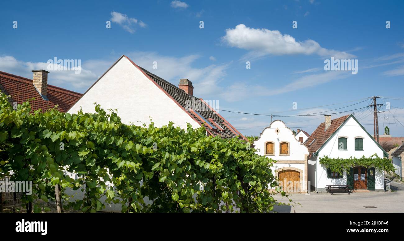 Weinkeller in Hajos, Ungarn Stockfoto