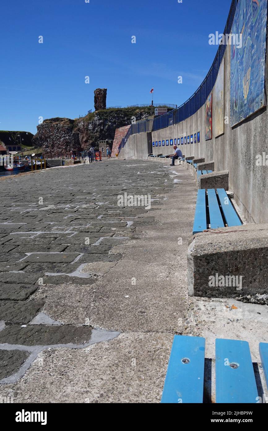 Sitzplätze entlang der Pier-Mauer am Hafen von Dunbar Stockfoto