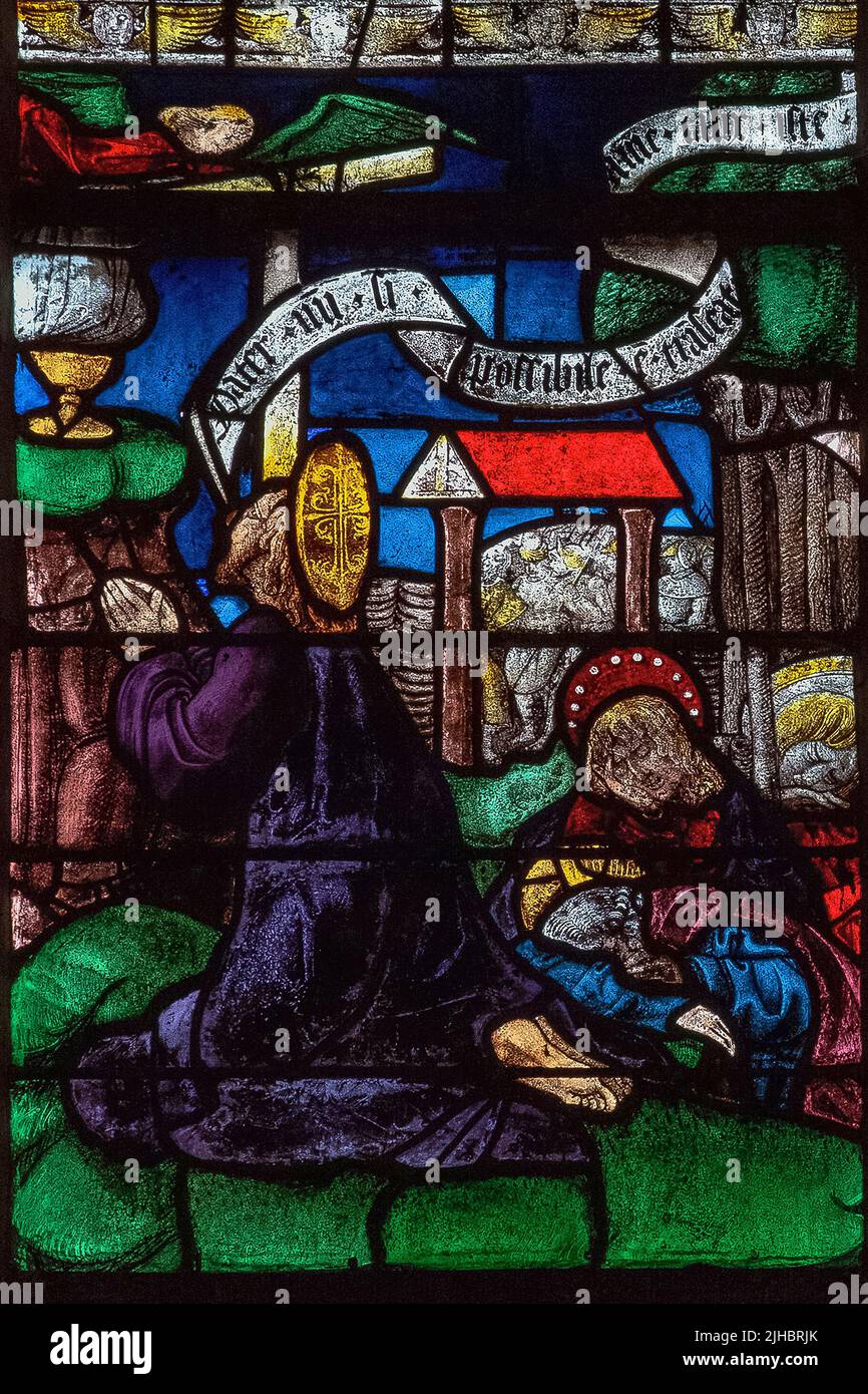 Die Agonie in Gethsemane: Lebendige französische Glasmalerei, die eine Szene aus der Passion Christi in einem Fenster von 1511 darstellt, die von den Glasmachern von Troyes im Église Saint-Rémi in Ceffonds, einem Dorf im Département Haute-Marne der Champagne im Nordosten Frankreichs, erstellt wurde. Stockfoto