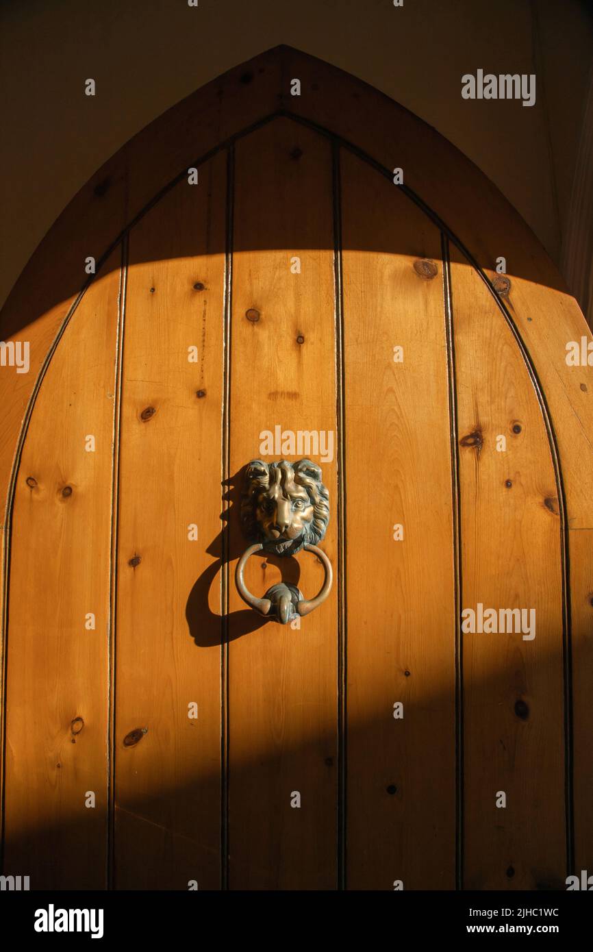 Geschnitzte Löwengesicht Messing Tür Klopfgriff an der Holztür Stockfoto