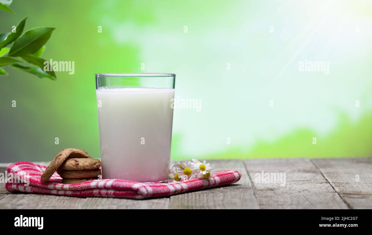 Ein Glas Milch und Kekse auf dem Gartentisch Stockfoto