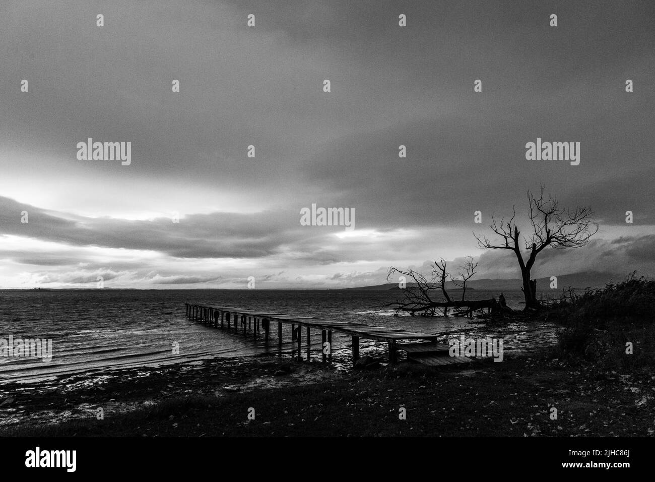 Langzeitansicht eines Piers auf einem See in der Dämmerung, mit vollkommen stillem Wasser, sich bewegenden Wolken und Skelettbäumen Stockfoto