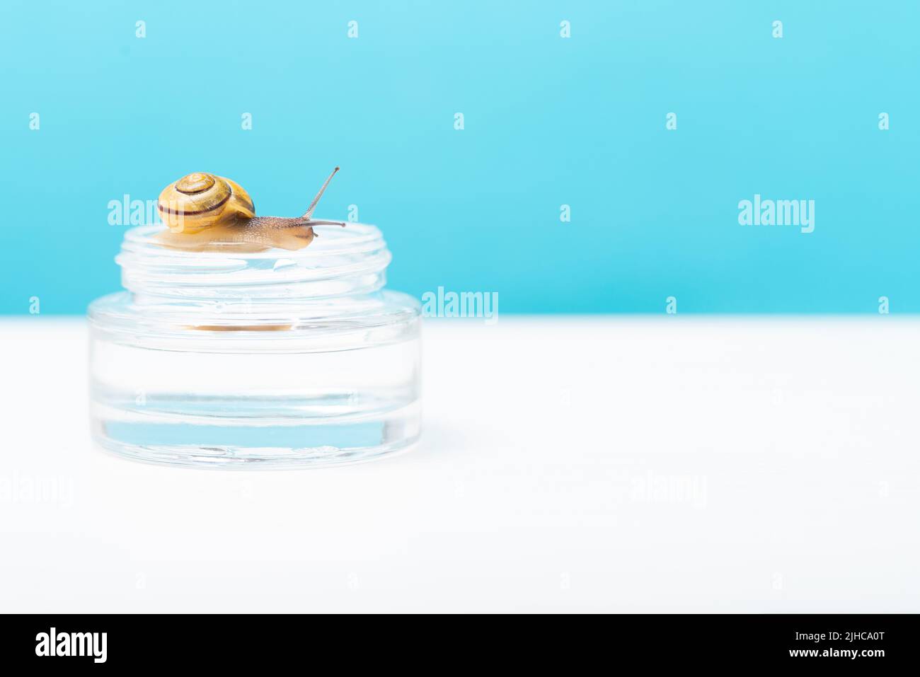 Eine Schnecke kriecht über eine Glasflasche mit Schneckenschleim-Gesichtsserum. Die Verwendung von Schneckenmuzin in der Kosmetologie, Raum für Text. Hautpflege- und Schönheitskonzept Stockfoto
