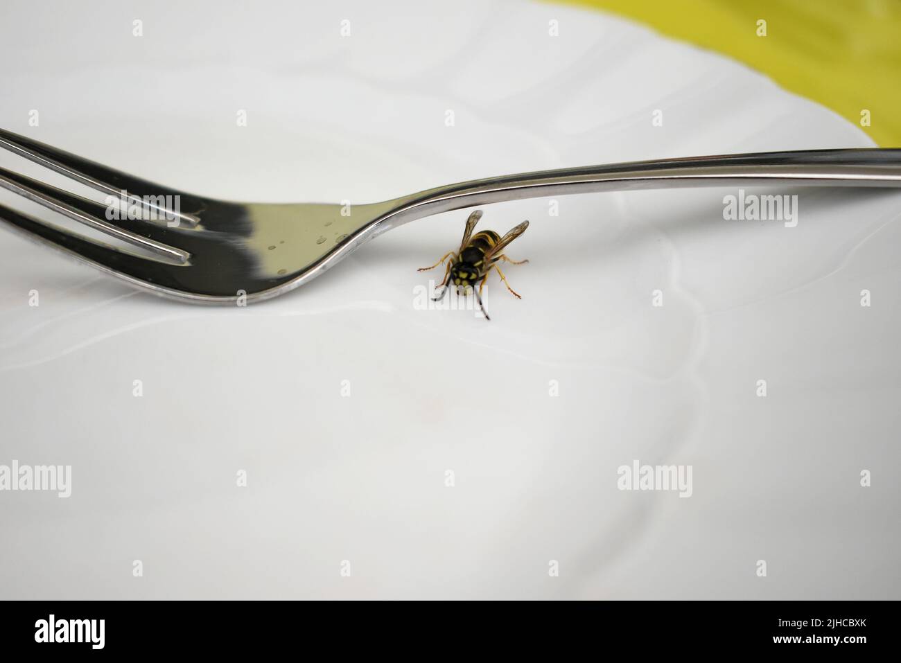 Eine Wespe sitzt neben einer Tasse Kuchengabel. Gefährliche Situation in der Garde, Risiko, gestochen zu werden Stockfoto