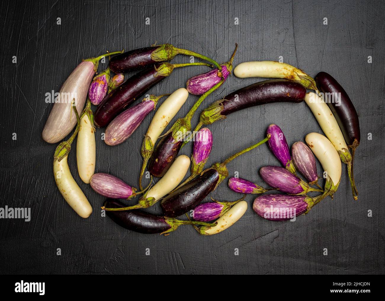 Baby Aubergine und Märchen Aubergine Stockfoto