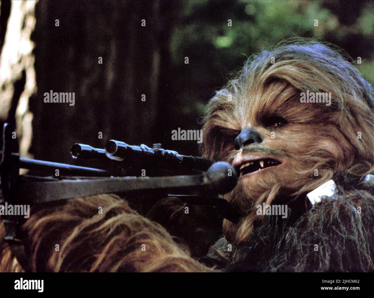 CHEWBACCA, PETER MAYHEW, STAR WARS: EPISODE VI - RÜCKKEHR DER JEDI, 1983 Stockfoto