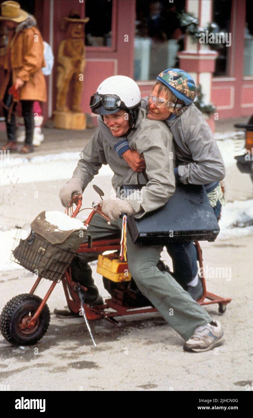 JIM CARREY, JEFF DANIELS, Dumm und Dümmer, 1994 Stockfoto