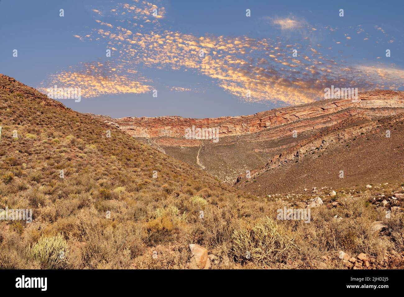 Die Cederberg Wilderness Area, die vom Cape Nature Conservation verwaltet wird, ist eine wunderbar zerklüftete Bergkette etwa 200km nördlich von Kapstadt. Weitgehend Stockfoto