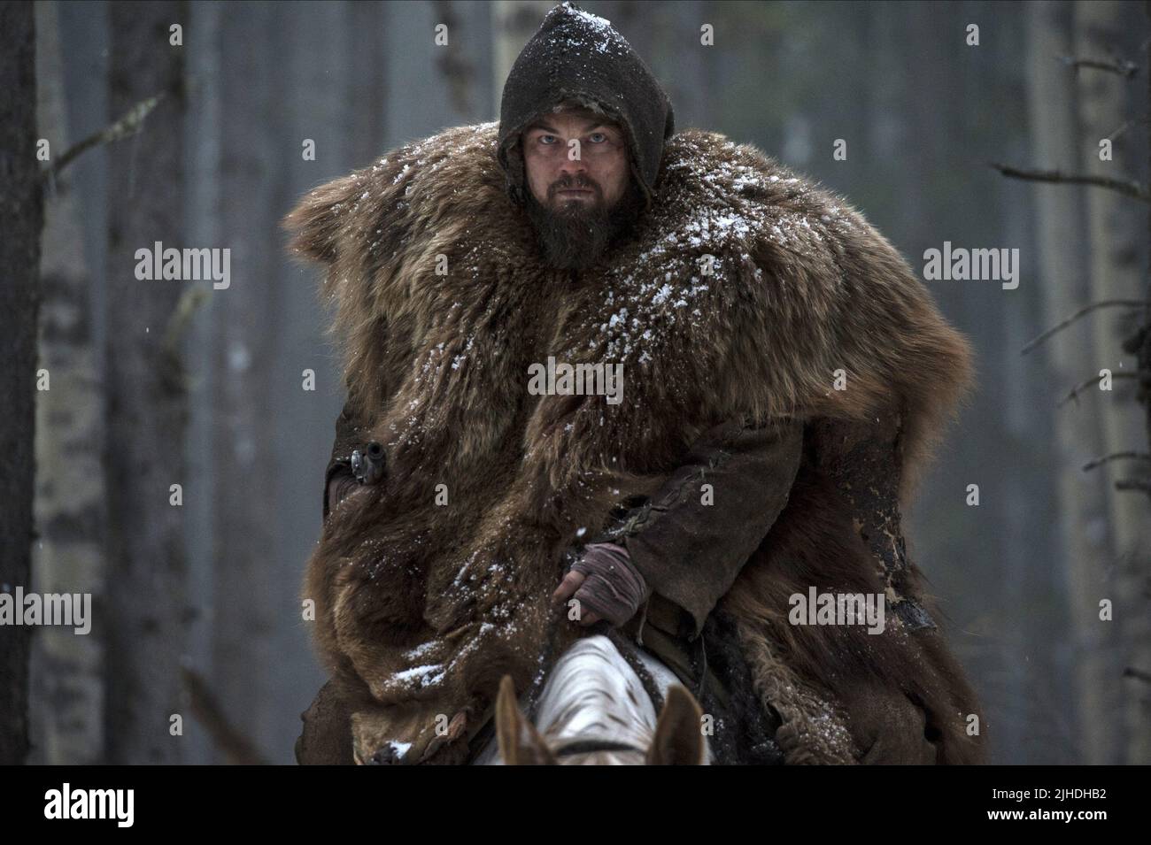 LEONARDO DICAPRIO, der Widergänger, 2015 Stockfoto