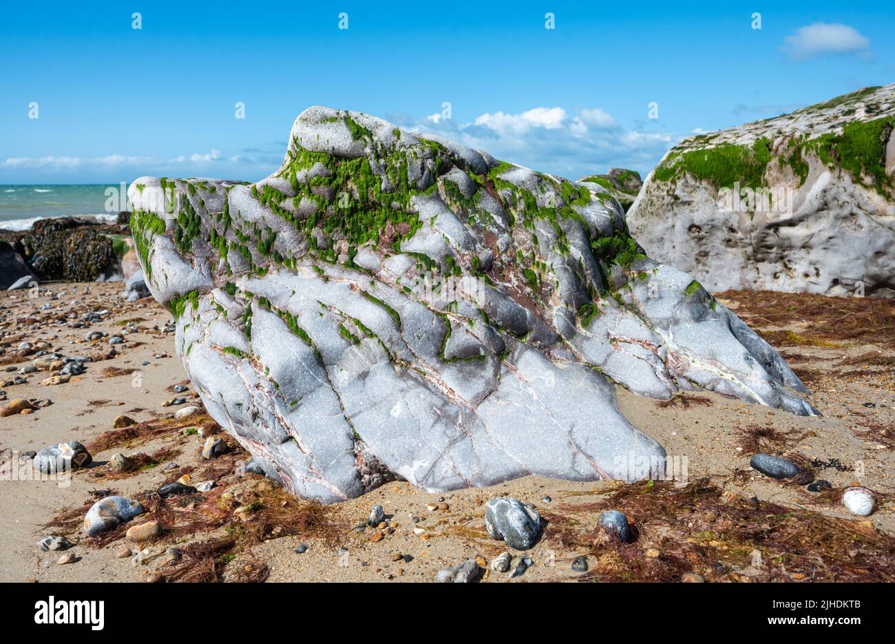 Große Felsen am Sandstrand, bedeckt mit grünen Algen bei Ebbe, Ultra Weitwinkel Blick, an einem Strand an der Küste in Großbritannien. Stockfoto