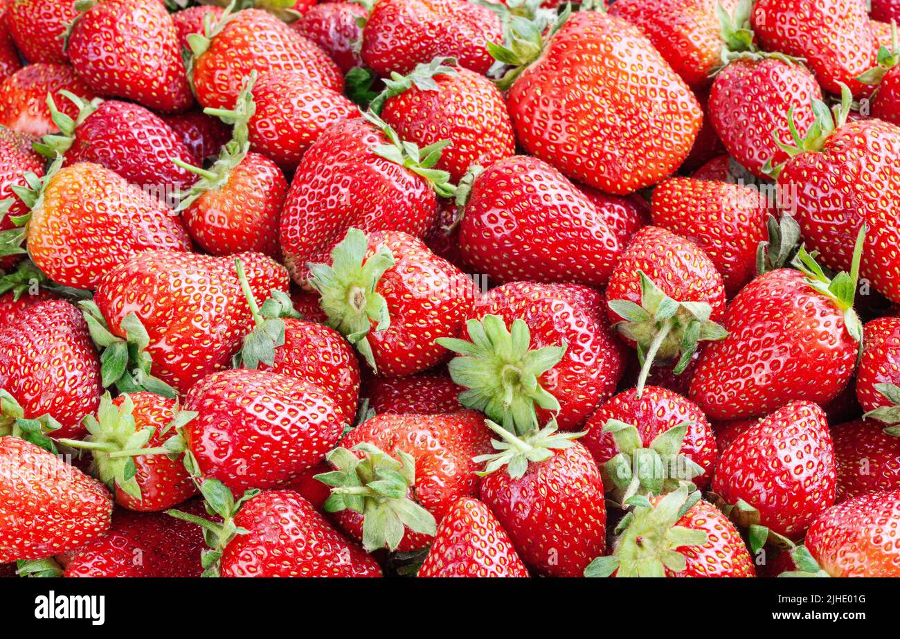 Frische Erdbeeren Hintergrund Stockfoto