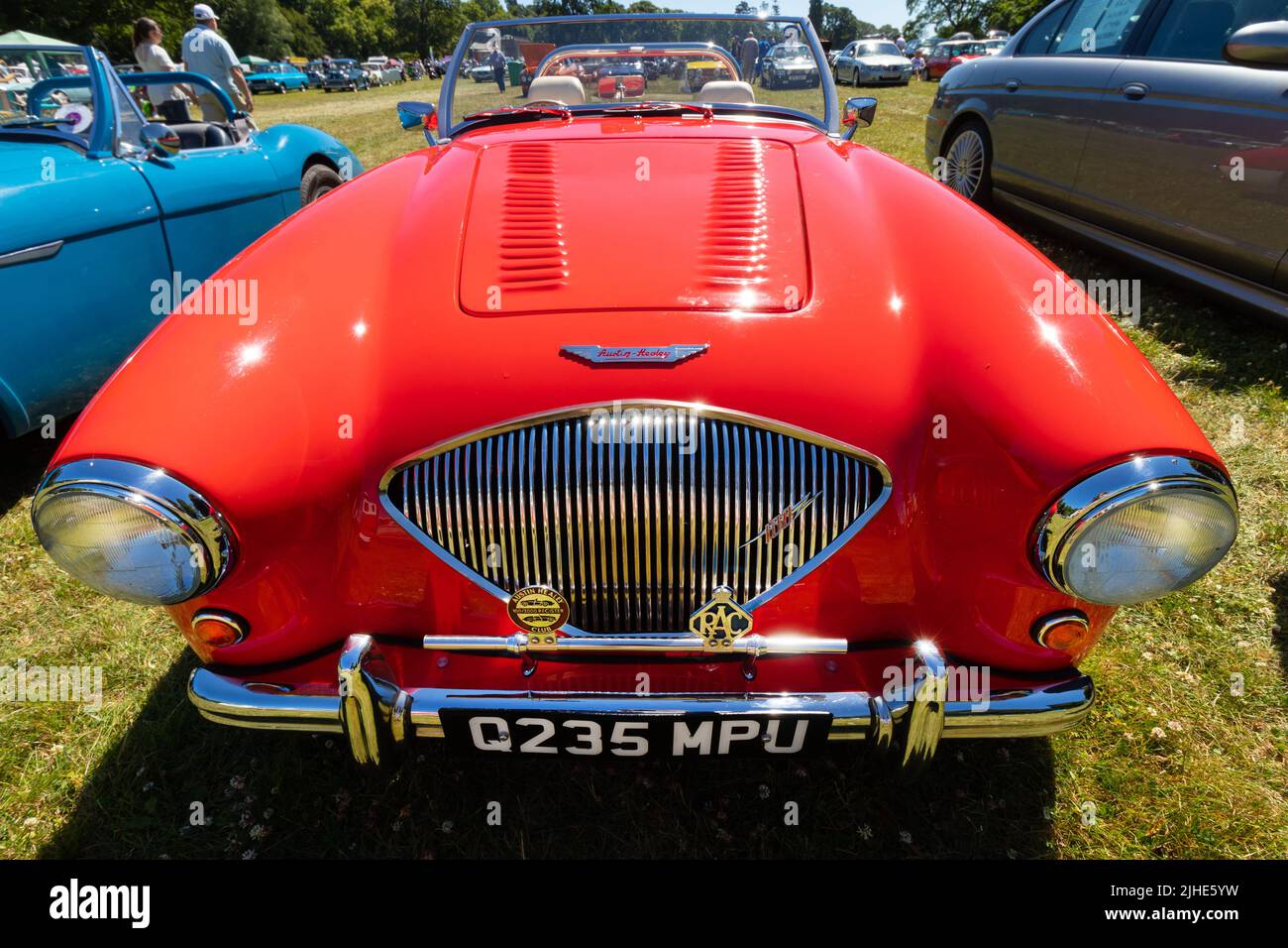 Vintage-Klassiker rot und blau Austin Healey Sportwagen Haldane MkII Stockfoto