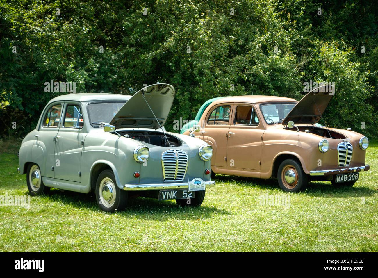 Grau und braun vintage klassische britische Autos Austin A35 geparkt auf Gras Stockfoto