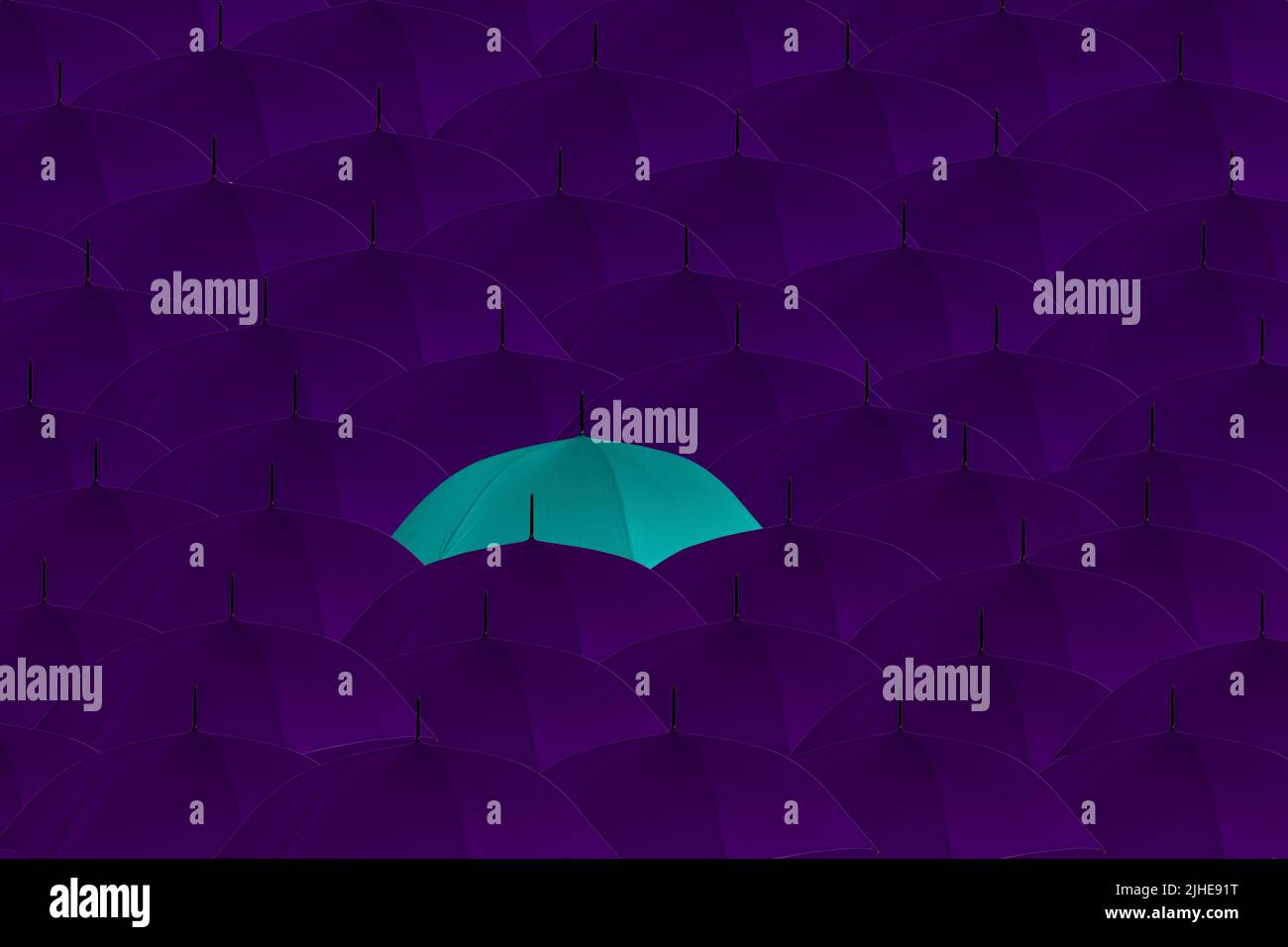 Heben Sie sich von der Masse ab ungerade One Out Konzept Menge von lila Regenschirmen ein blauer Regenschirm, der hervorsticht Stockfoto