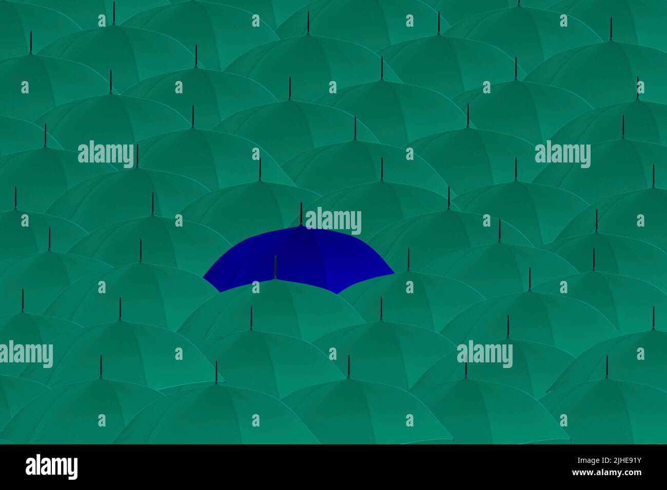 Heben Sie sich von der Masse ab seltsame One Out Konzept Menge von Aqua-Regenschirmen ein blauer Regenschirm auffallen Stockfoto