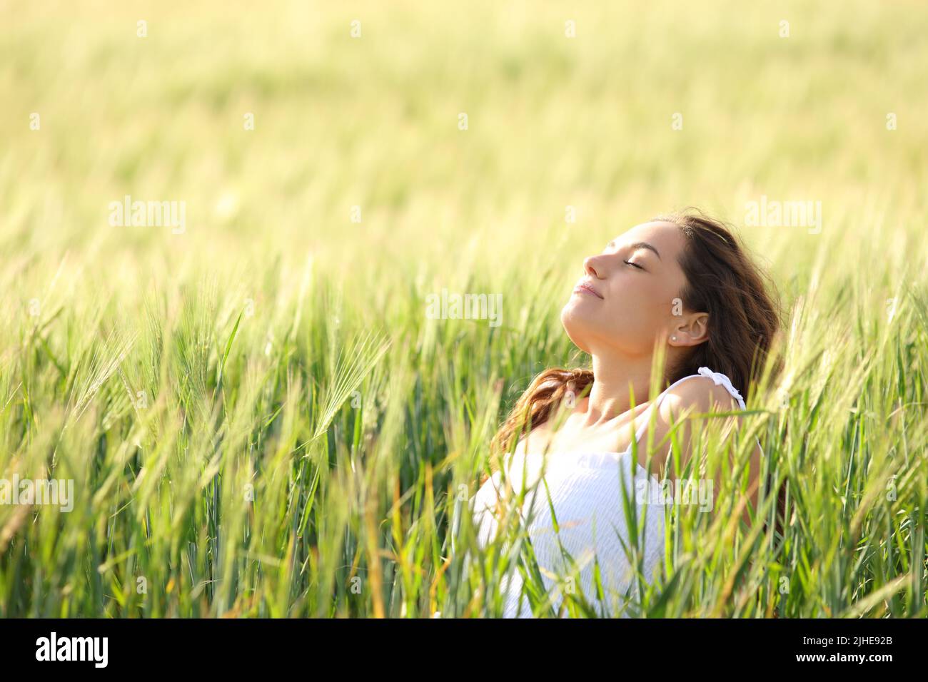 Entspannte Frau, die auf einem Feld sitzt und frische Luft atmet Stockfoto