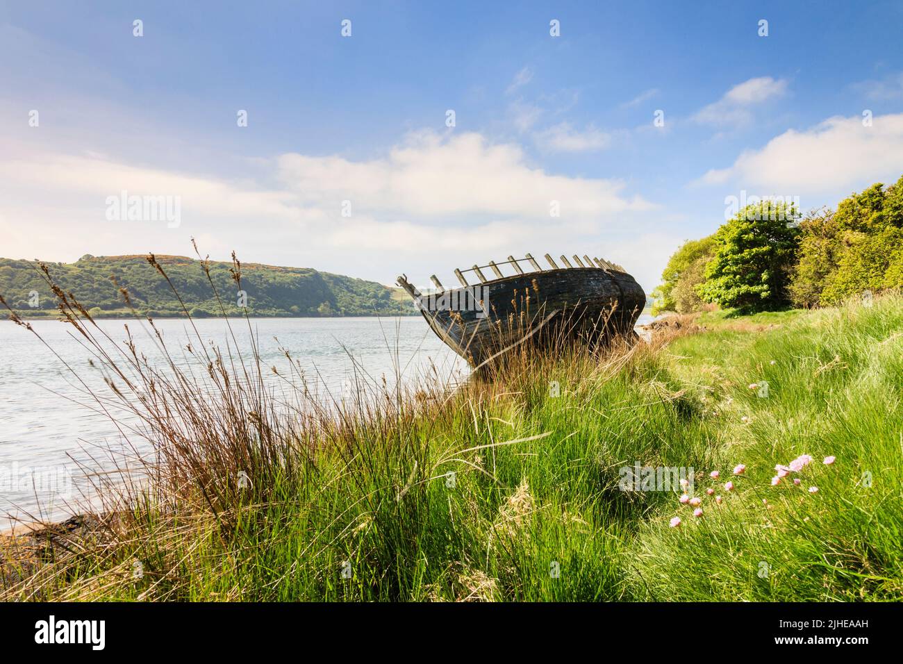Alte Holzrumpf eines Schiffswracks an der Küste im Sommer. Traeth Dulas, Isle of Anglesey, North Wales, Großbritannien, Stockfoto