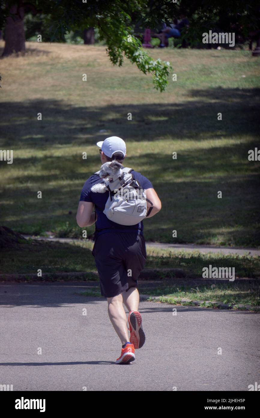 Ein Läufer und sein ungewöhnlicher Laufpartner führen gemeinsam Loops in einem Park in Queens, New York, durch. Stockfoto