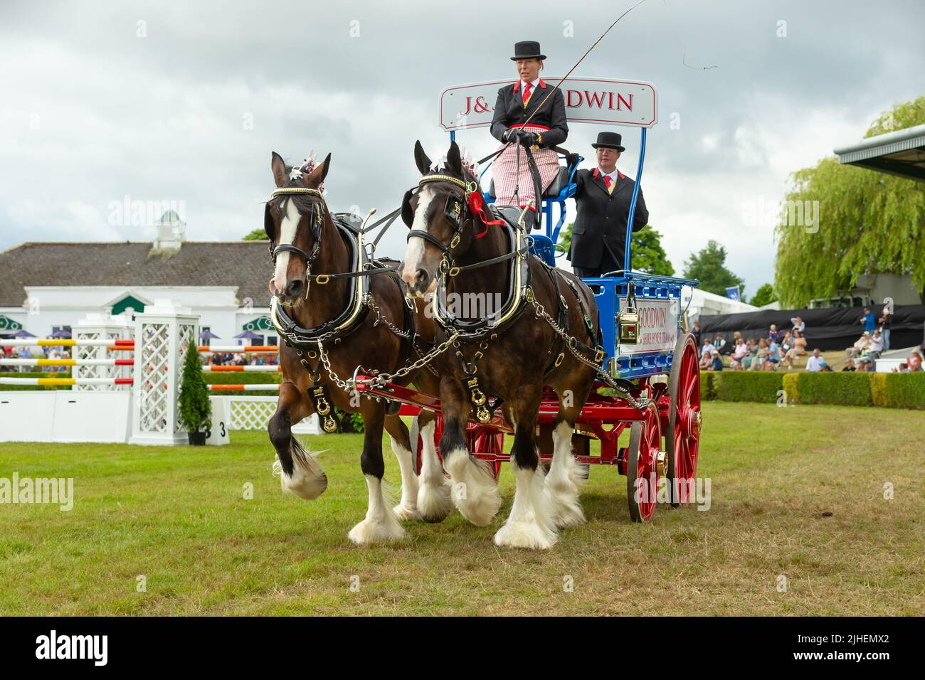 Great Yorkshire Show, Harrogate, Großbritannien. 15. Juli 2022. Nahaufnahme von J & J Goodwin, Heavy Horse Turnout im Hauptring bei der Great Yorkshire Show, Harr Stockfoto