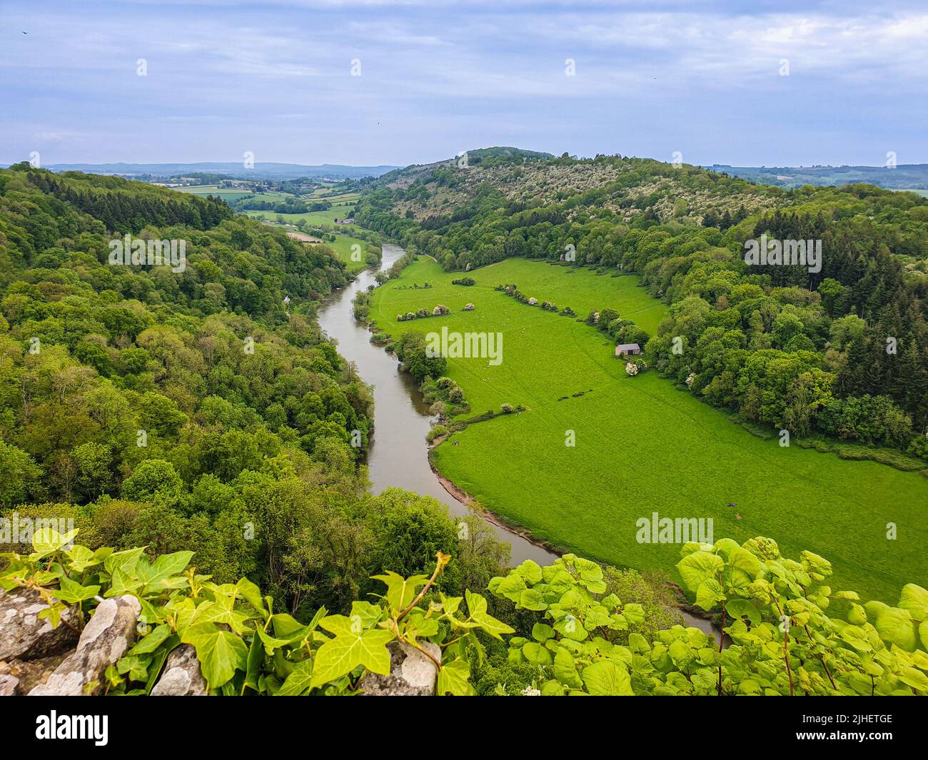 Blick über das Wye Valley von Symonds Yat Rock, Symonds Yat, Forest of Dean, Herefordshire, England, Vereinigtes Königreich Stockfoto