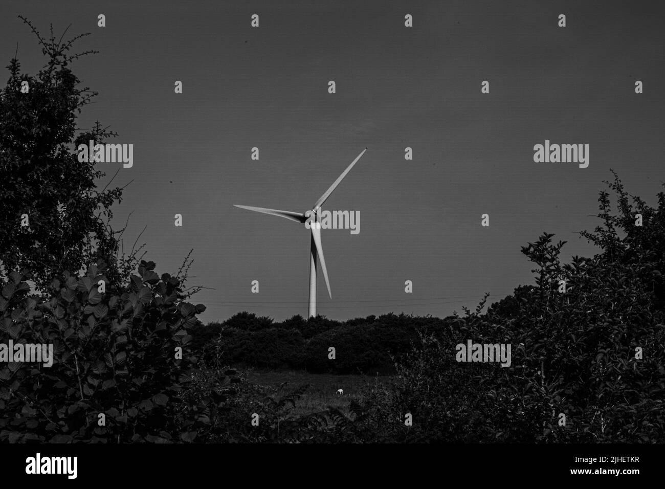 Windturbine a source of Renewable Energy, Cornwall, Großbritannien Stockfoto