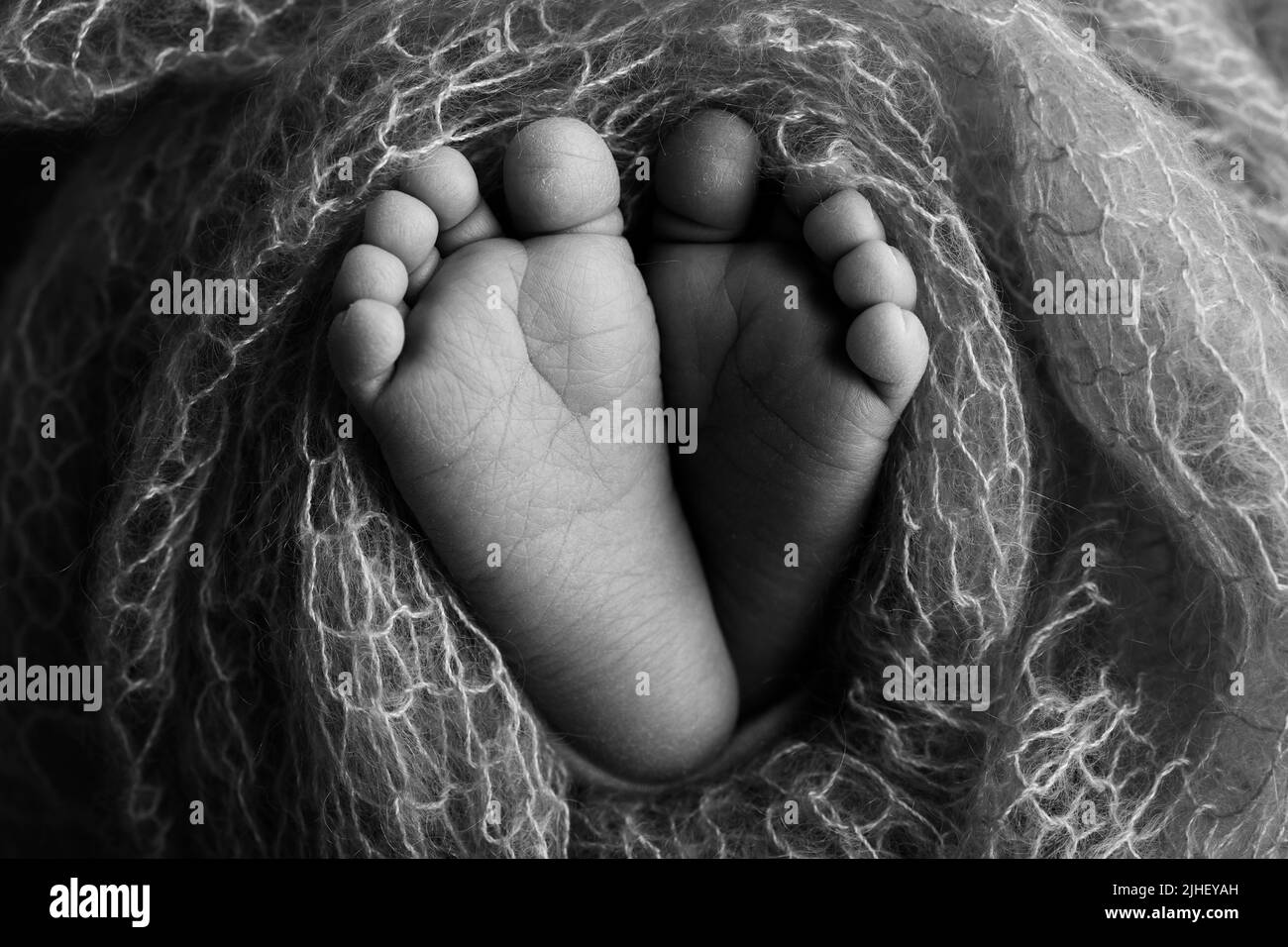Nahaufnahme von Zehen, Fersen und Füßen eines Babys.der kleine Fuß eines Neugeborenen. Schwarzweiß-Makrofotografie im Studio Stockfoto