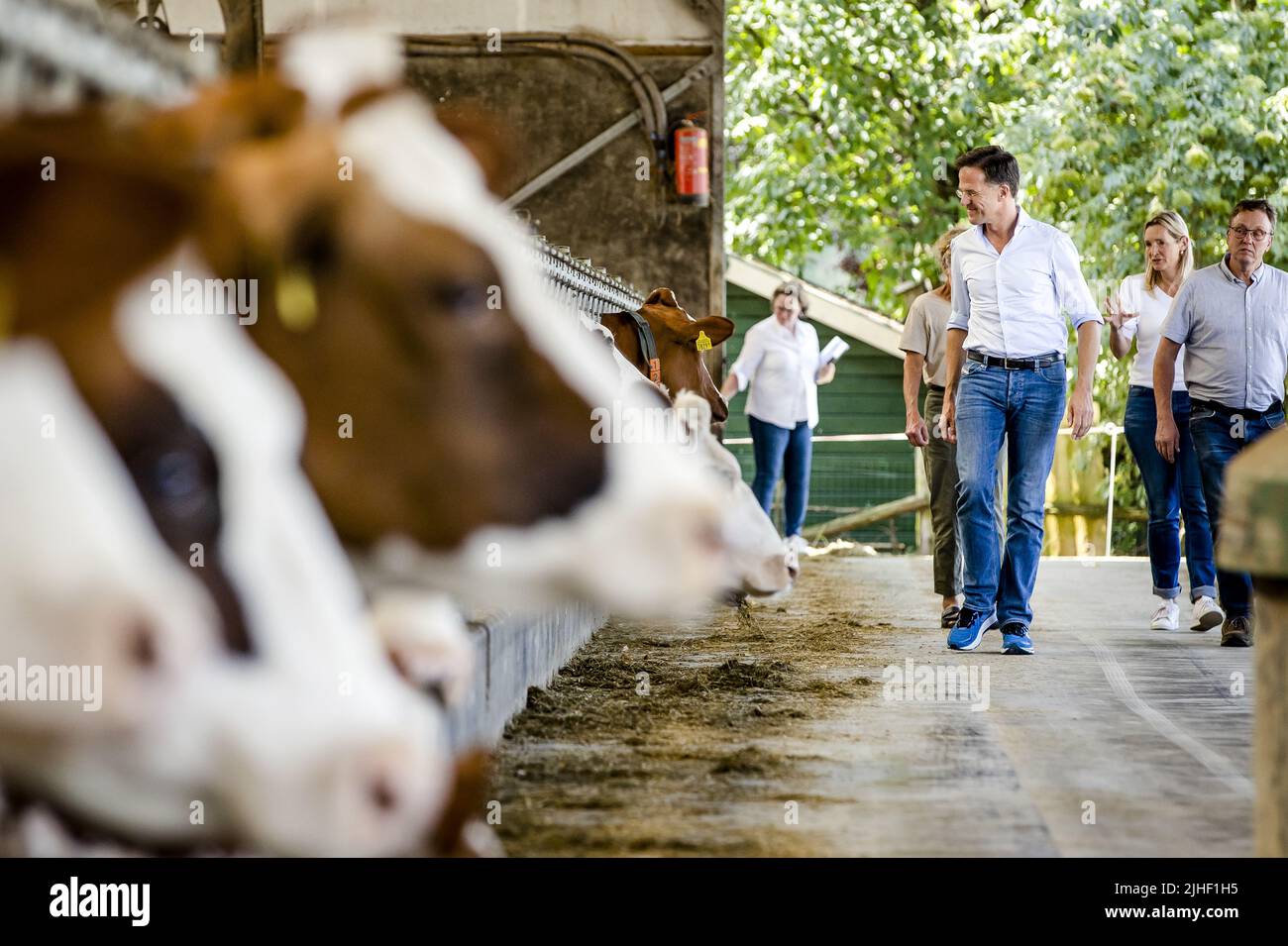 Kelpen-Oler, Niederlande. 18.. Juli 2022. 2022-07-18 13:07:32 KEPLEN-OLER - Premierminister Mark Rutte wird eine Tour von einem Kuhstall während eines Besuchs auf einer Farm in der Peel gegeben, um über die Stickstoff-Pläne zu sprechen. ANP SEM VAN DER WAL netherlands Out - belgium Out Credit: ANP/Alamy Live News Stockfoto