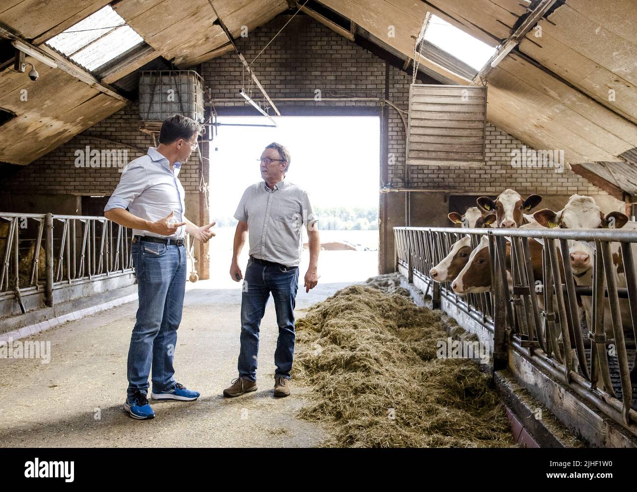 Kelpen-Oler, Niederlande. 18.. Juli 2022. 2022-07-18 10:37:48 KEPLEN-OLER - Premierminister Mark Rutte wird eine Tour von einem Kuhstall während eines Besuchs auf einer Farm in der Peel gegeben, um über die Stickstoff-Pläne zu sprechen. ANP SEM VAN DER WAL netherlands Out - belgium Out Credit: ANP/Alamy Live News Stockfoto