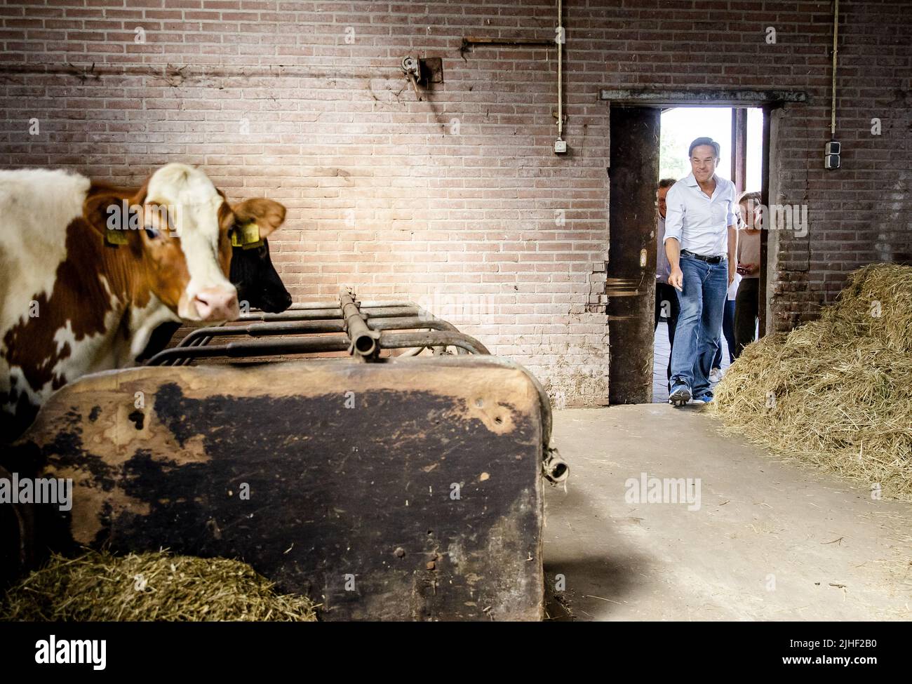 Kelpen-Oler, Niederlande. 18.. Juli 2022. 2022-07-18 10:27:22 KEPLEN-OLER - Premierminister Mark Rutte wird eine Tour von einem Kuhstall während eines Besuchs auf einer Farm in der Peel gegeben, um über die Stickstoff-Pläne zu sprechen. ANP SEM VAN DER WAL netherlands Out - belgium Out Credit: ANP/Alamy Live News Stockfoto