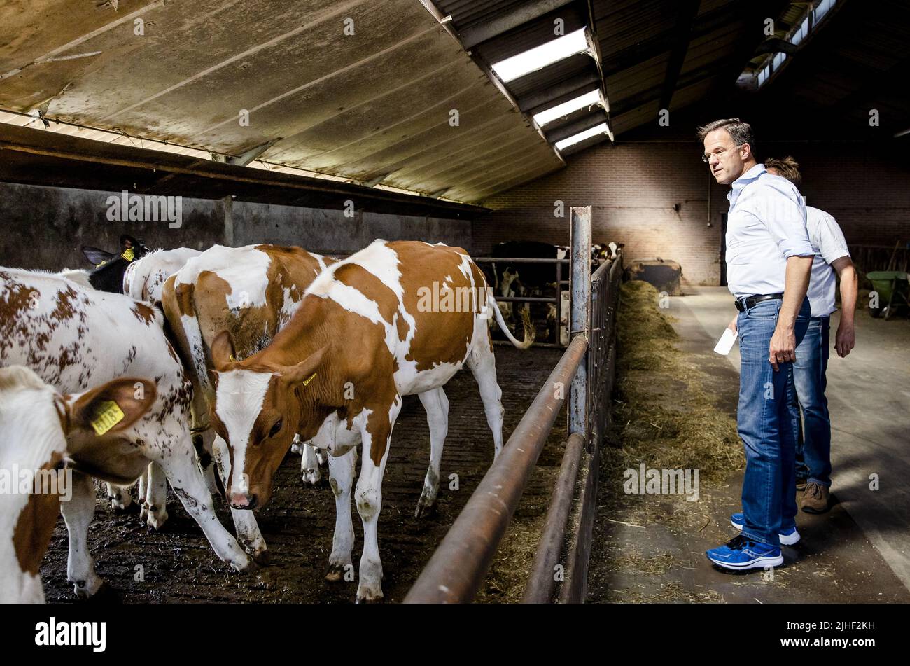 Kelpen-Oler, Niederlande. 18.. Juli 2022. 2022-07-18 10:28:11 KEPLEN-OLER - Premierminister Mark Rutte wird eine Tour von einem Kuhstall während eines Besuchs auf einer Farm in der Peel gegeben, um über die Stickstoff-Pläne zu sprechen. ANP SEM VAN DER WAL netherlands Out - belgium Out Credit: ANP/Alamy Live News Stockfoto