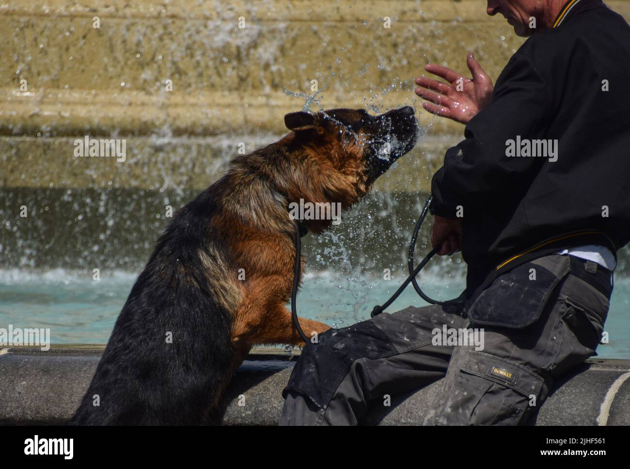 London, England, Großbritannien. 18.. Juli 2022. Ein Mann kühlt seinen Hund mit Wasser aus einem Brunnen auf dem Trafalgar Square ab, während sengende Temperaturen die Hauptstadt treffen. Das Met Office hat seine erste rote Warnung vor extremer Hitze in Großbritannien veröffentlicht. (Bild: © Vuk Valcic/ZUMA Press Wire) Bild: ZUMA Press, Inc./Alamy Live News Stockfoto