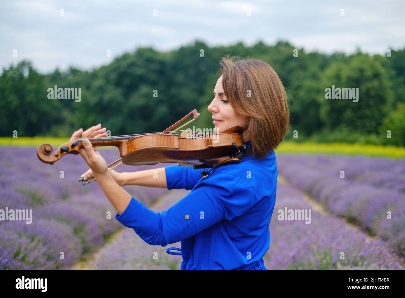 Erwachsene Geigerin spielt Violine auf Sommerlavendelfeld Nahaufnahme Stockfoto